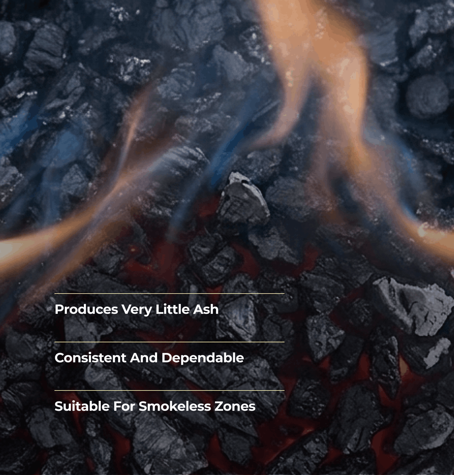 Anthracite Beans