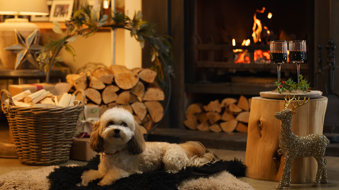 Unwrap Christmas Fuel Bundles. Dog sitting comfortably and warm in front of the fire. Kiln-dried logs stacked to the left, mulled wine and Christmas ornaments to the right.