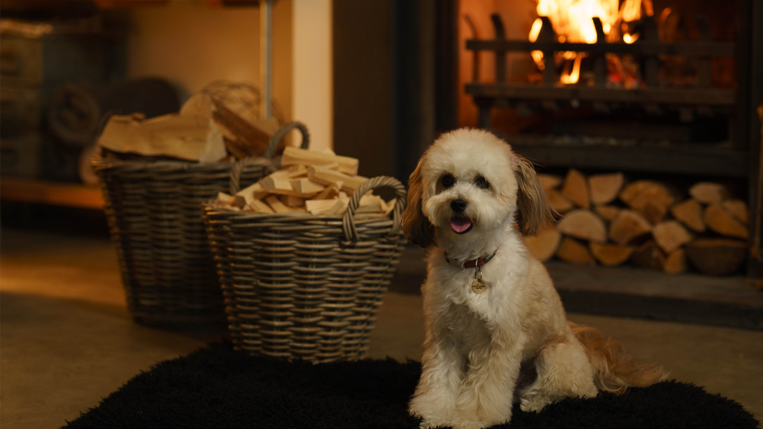 Coals2U by Homefire Kiln Dried Logs are the Ultimate Fuel this Winter
