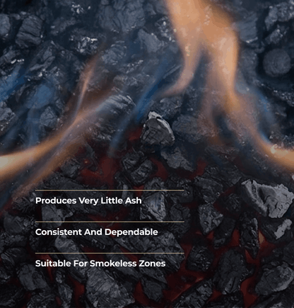 Anthracite Beans