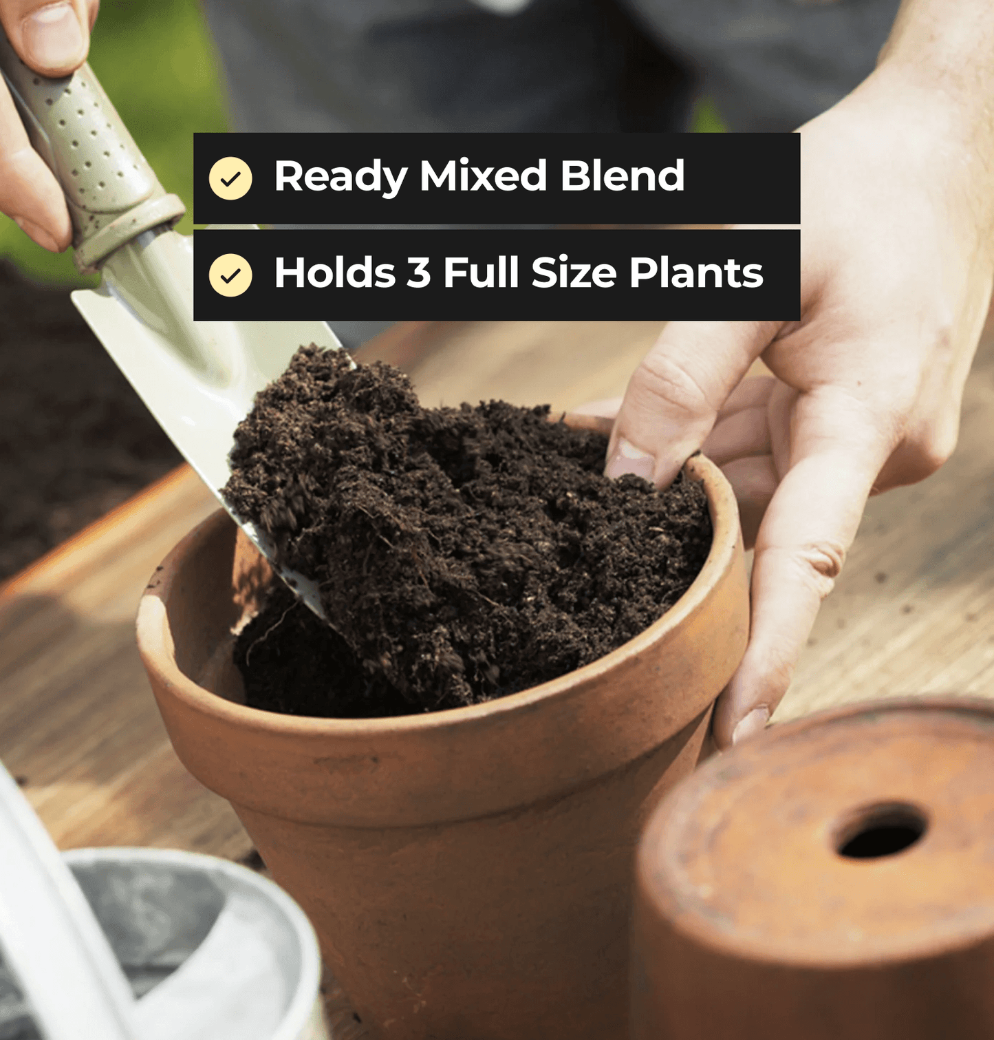 Grow Bag - 3 Plant - Peat Based for Superior Results