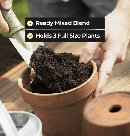 Grow Bag - 3 Plant - Peat Based for Superior Results