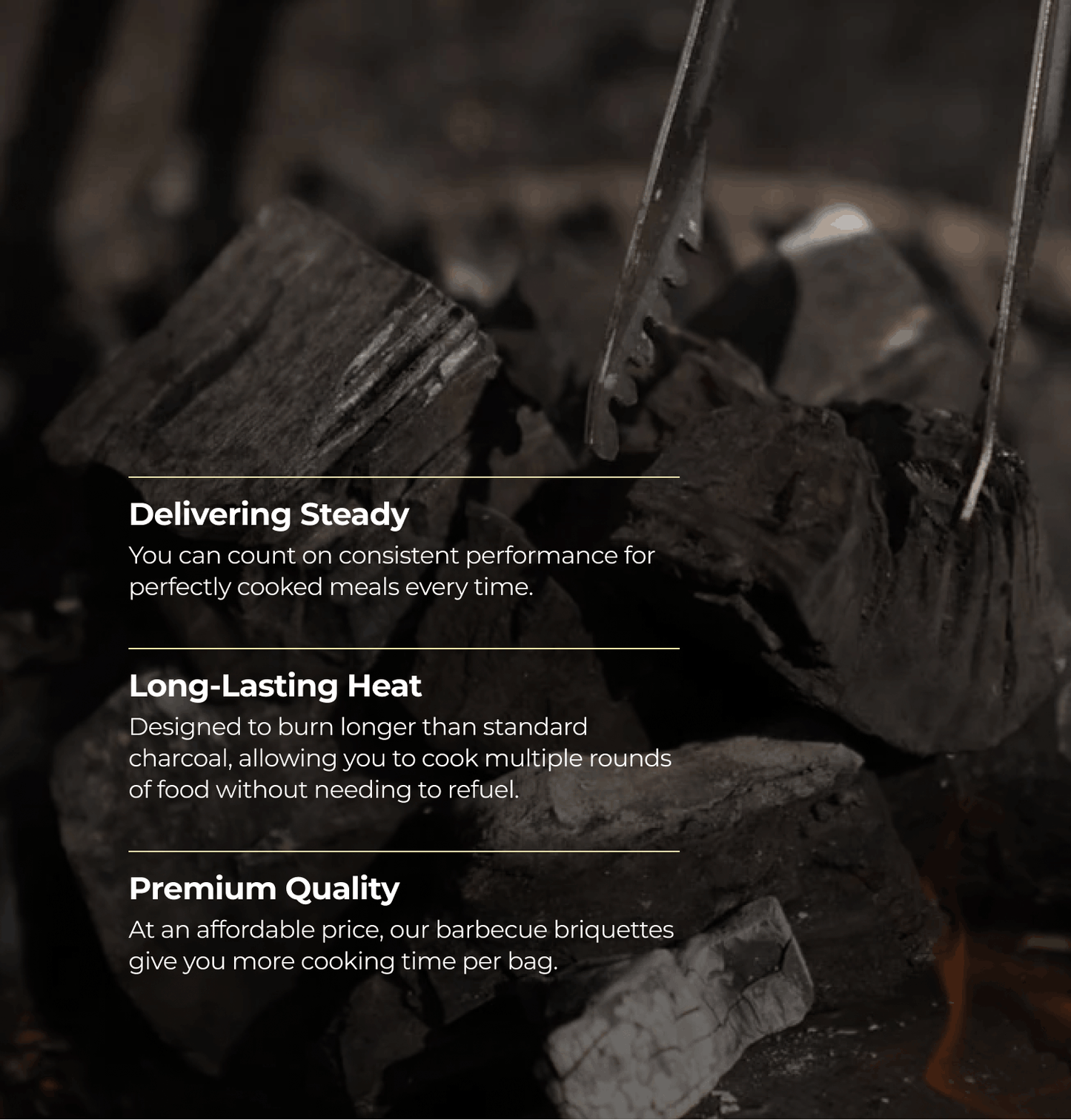 Homefire Barbecue Briquettes