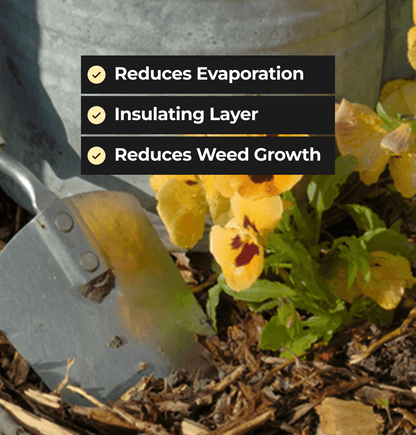 Landscape Bark - 100 Ltr Bag