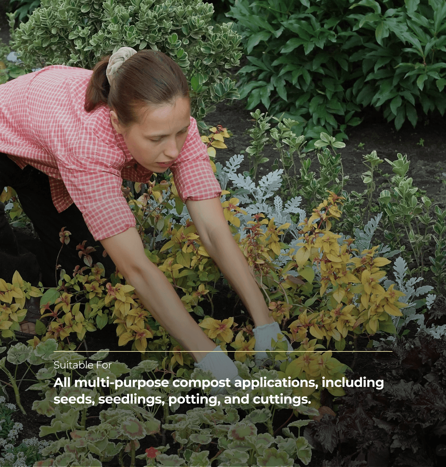 Multi-Purpose Compost Bag - Up To 70L