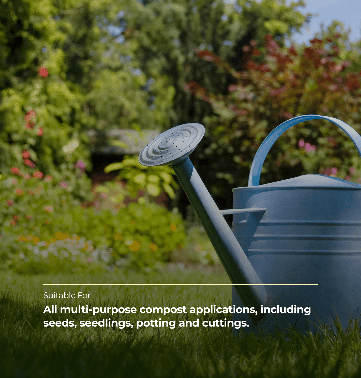 Peat Free Multi Purpose Compost - 50 Ltr Bag