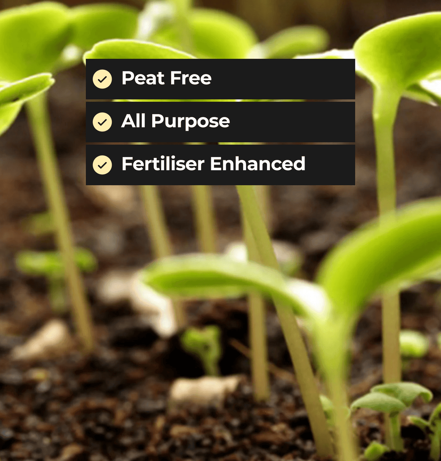 Peat Free Multi Purpose Compost - 50 Ltr Bag