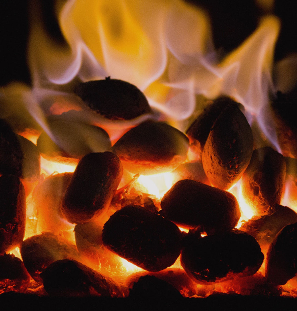 Close-up of burning smokeless ovals with flames in a fireplace