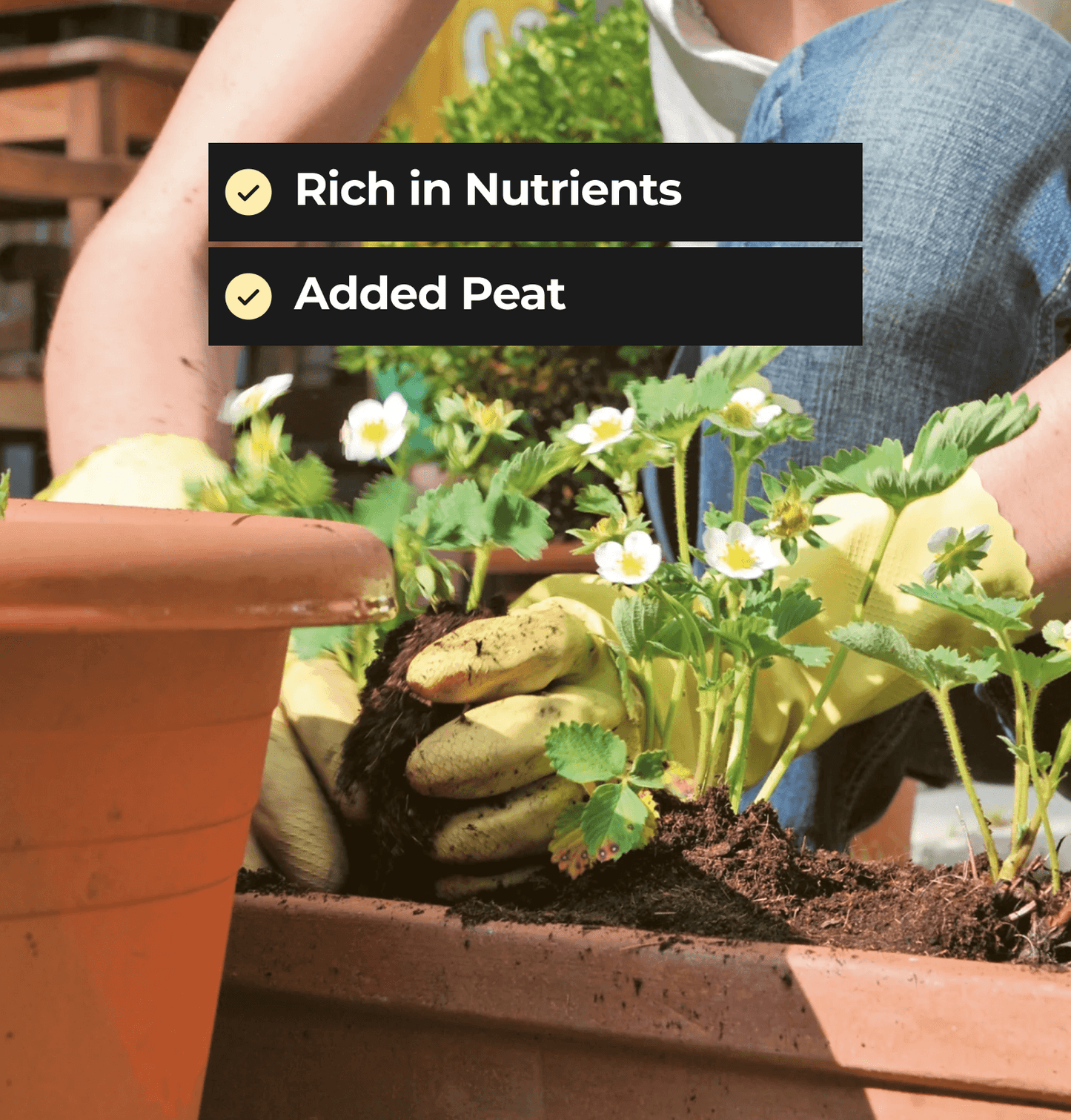 Top Soil - High Quality Loam Based Soil with added Peat - 25 Ltr Bag